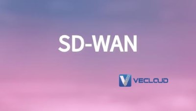 SD-WAN云服务基础架构
