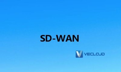 中国sdwan上市公司解决方案