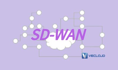 sd-wan全球组网：企业分支互联网组网