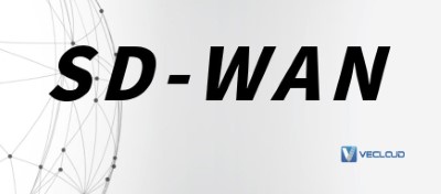 sdwan专线组网方案