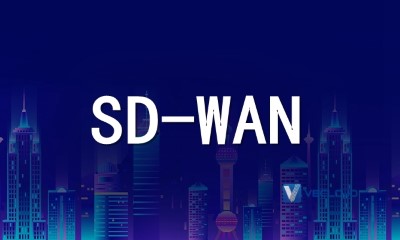 SDWAN支持的路由协议