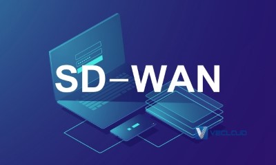 sdwan多分支组网