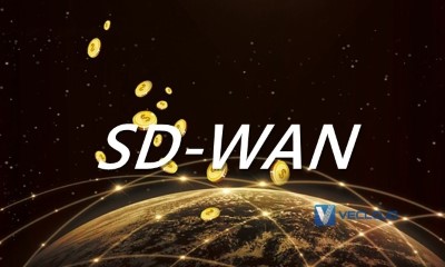 IaaS架构云平台通过SD-WAN专线访问