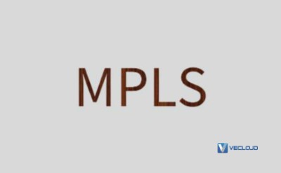 MPLS加密技术与认证技术