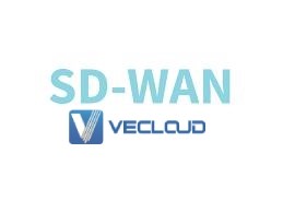 SD-WAN纠错配置