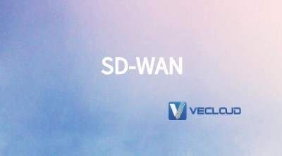 哪类企业需要SD-WAN组网?