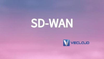我司提供安全组网服务