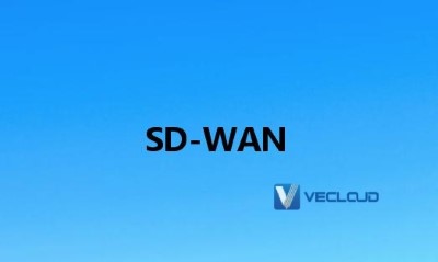 SD-WAN解决方案连接性能：SD-WAN方案功能类型