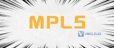 企业客户选择MPLS VPN的几点原因 企业客户选择MPLS VPN的几点原因
