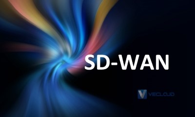 基于隧道与无隧道的SD-WAN