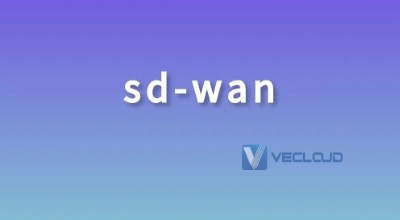 中小型企业应注意SD-WAN的5个理由