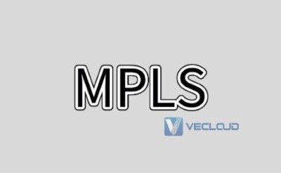 MPLS-VPN应用新模型