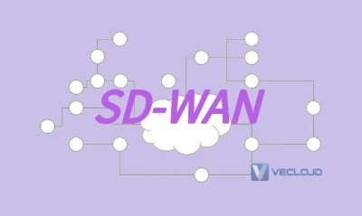为什么仍需要SD-WAN进行WAN优化?