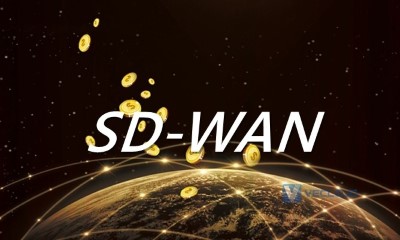 使用SD-WAN进行网络通信