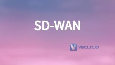 SD-WAN：针对应用策略优化WAN以支持数字转换和云