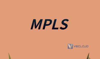 基于双标签传送模式的MPLS VPN业务