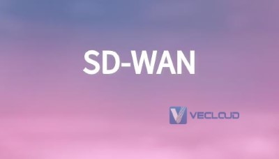 广域网未来：SD-WAN