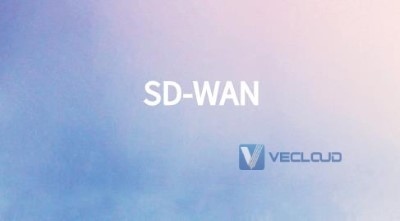 企业选用SD-WAN的真实价值体现