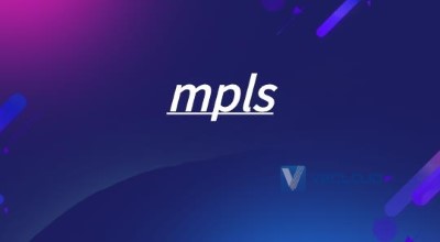 虚拟环境的MPLS VPN设备