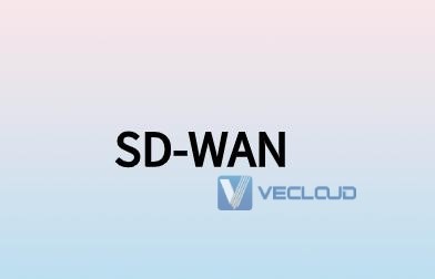 sdwan采用什么网络技术?