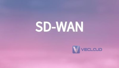 连锁企业SD-WAN运维解决方案