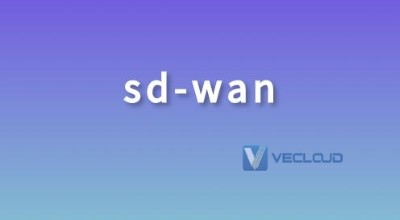 sdwan产品技术要求