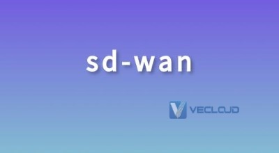 SDWAN的意思