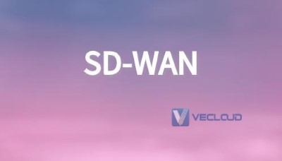 sdwan广域网方案主要特征