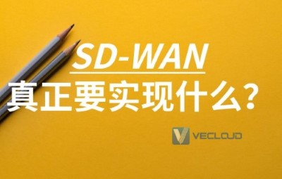 SASE与SD-WAN广域网服务