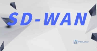 SD-WAN网络加速设备为跨境电商扫清障碍