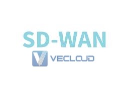 saas对接sdwan：基于组网的SDWAN主张