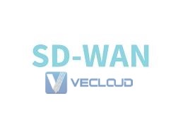 SD-WAN网络主要解决问题