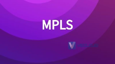 MPLS VPN系统与数据专线对比
