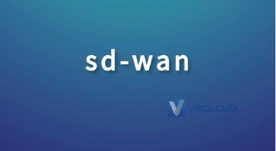 SD-WAN如何满足组网连接需求?