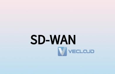 SD-WAN可视化网络方案