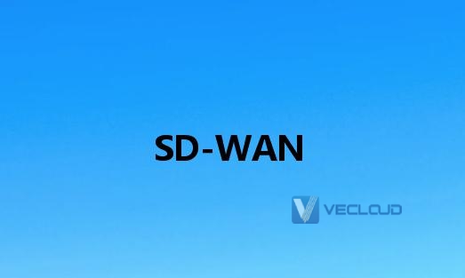 SD-WAN组网应用需求分析