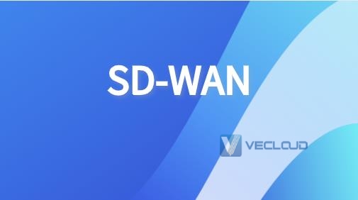 SD-WAN数据传输