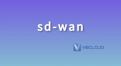 带你了解SD-WAN的五大基本特性