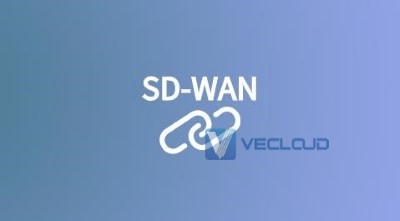 SDWAN混合云