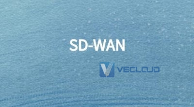 SD-WAN产品及方案