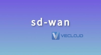 关于sdwan的一些问题