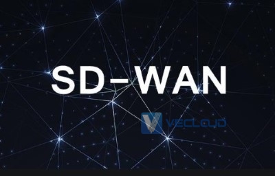 国内sdwan厂商排名