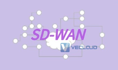 sdwan专用网络