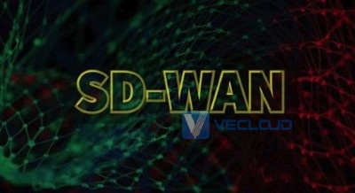国内SDWAN 组网