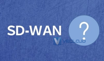 sdwan是哪个公司的
