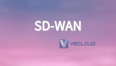 运营商sdwan网络 运营商sdwan网络