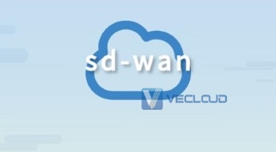 跨境组网专线-SDWAN