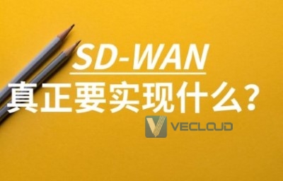 sd-wan 组网方式