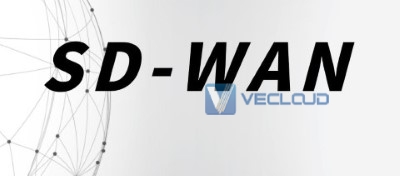 SDWAN组网多少钱1兆?