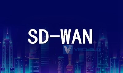 SDWAN广域网连接